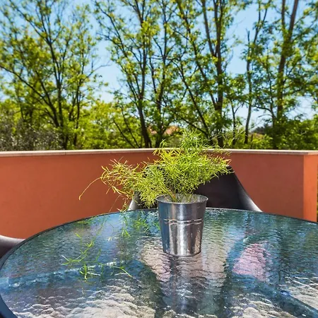 Micko Apartman Privlaka (Zadar)