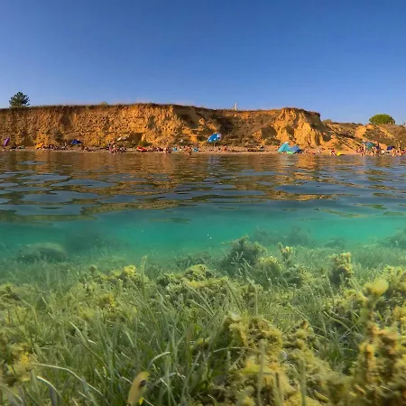 Micko Apartment Privlaka (Zadar)