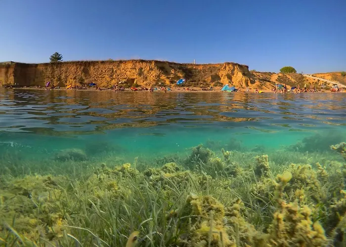 Micko Daire Privlaka (Zadar)